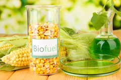 Wendy biofuel availability